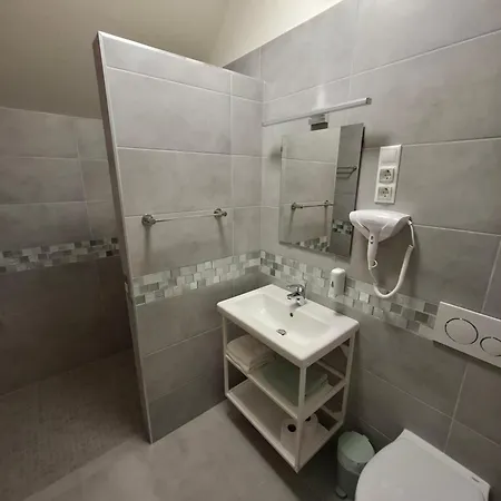 Πανσιόν Silver Boutique Έγκερ