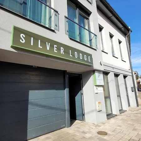 Guest house Silver Boutique